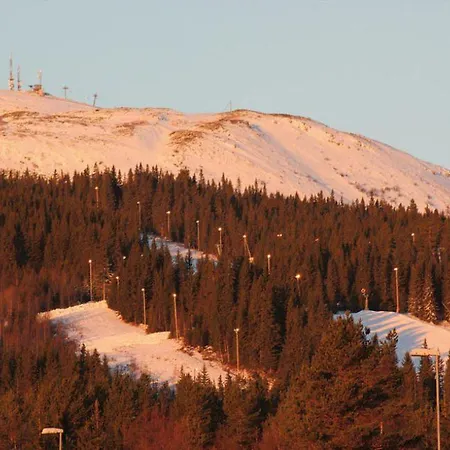 Trysilfjellet